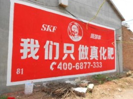 瑞安刷墙广告”蕴含了时代命题