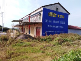 瑞安必须知道的墙体广告形势