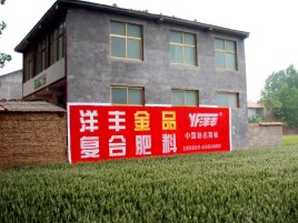 瑞安如何让墙体广告展现最大化效果