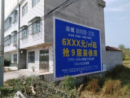 瑞安墙体广告质量分析