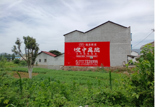 瑞安做墙体广告的意义