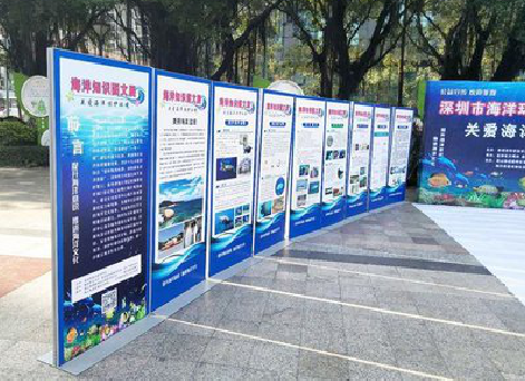 瑞安KT板的种类和知识。